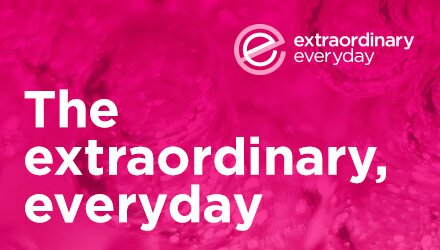 Science Festival - Extraordinary Everyday page graphic